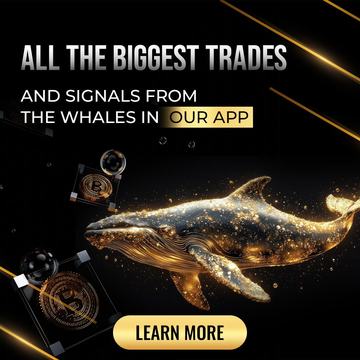 Banner design